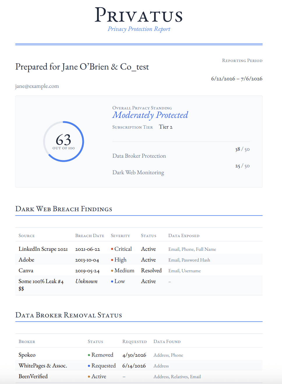 Privatus auto-generated privacy report